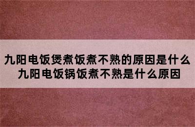 九阳电饭煲煮饭煮不熟的原因是什么 九阳电饭锅饭煮不熟是什么原因